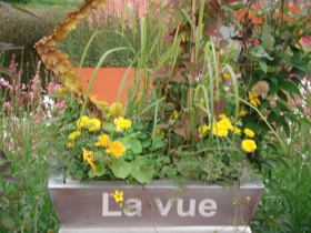 20070607jardin_demain03.jpg