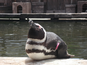 神戸花鳥園