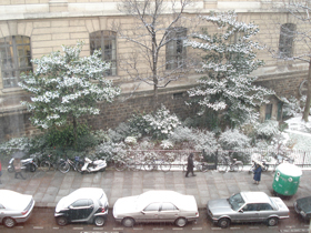 20090105neige1.jpg